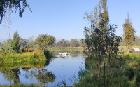 Parque Ecológico de Xochimilco
